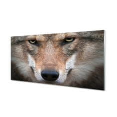 tulup.sk Nástenný panel  wolf Eyes 100x50 cm