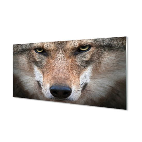 tulup.sk Nástenný panel  wolf Eyes