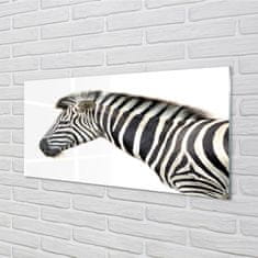 tulup.sk Nástenný panel  zebra 100x50 cm