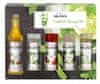 MONIN Cocktail box MINI 5 x 0,05 l