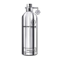 Montale Paris Vanilla Cake - EDP 2 ml - odstrek s rozprašovačom