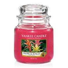 Yankee Candle vonná sviečka Tropical Jungle 411g