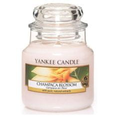 Yankee Candle vonná sviečka Champaca Blossom (Kvet magnólie) 104g