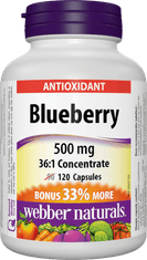 Webber Naturals Blueberry 500 mg 120 cps