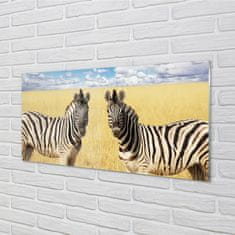 tulup.sk Nástenný panel  zebra box 100x50 cm