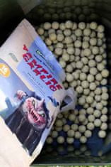 Boilies Vampire Garlic 1kg - 20mm