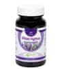 Natural Pharm Vitex Agnus Castus tablety 100 ks