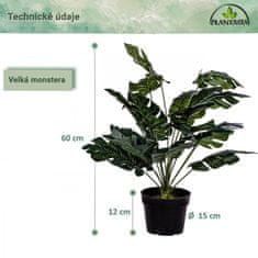 Greatstore PLANTASIA Umelá rastlina monstera, 60 cm