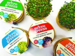 commshop Microgreens - čarovná záhradka, mikro bylinky - reďkovka