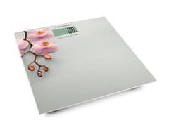 Esperanza EBS010 Digitálna kúpeľňová váha Orchid