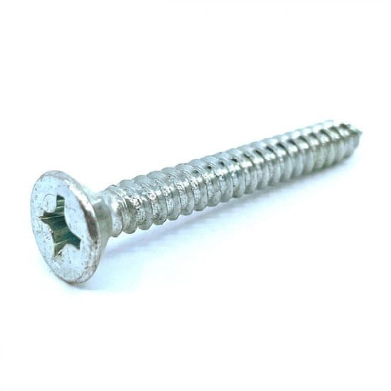 Skrutka do plechu DIN 7982C zn 4,8x22mm 4,8x22 mm 500 ks