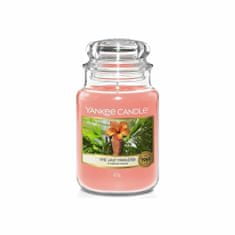 Yankee Candle THE LAST PARADISE Veľká sviečka 623 g