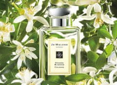 Jo Malone Orange Blossom - EDC 100 ml