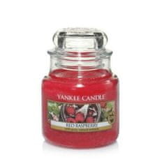 Yankee Candle RED RASPBERRY Malá sviečka 104 g