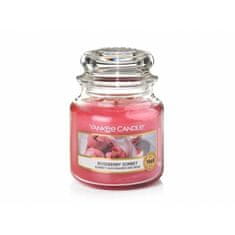 Yankee Candle ROSEBERRY SORBET Malá sviečka 104 g