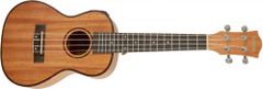 Cascha HH 2035E Concert Mahogany Ukulele Set EQ