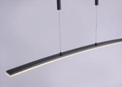 PAUL NEUHAUS PAUL NEUHAUS LED závesné svietidlo, antracit, moderný dizajn 2700-5000K PN 2530-13