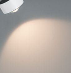 Paulmann Paulmann urãil LED spot Aldan II 1x8W biela čierna 2.700K stmievateľné 953.95 95395
