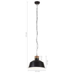 Petromila vidaXL Industriálna závesná lampa 32 cm, čierna E27