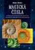 Renna Shesso: Magická čísla - Od Fibonacciho posloupnosti přes Labyrint luny až po zlatý řez a další tajemství posvátné geometrie
