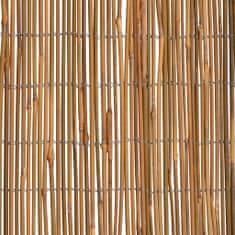 Vidaxl Bambusový plot 500x170 cm