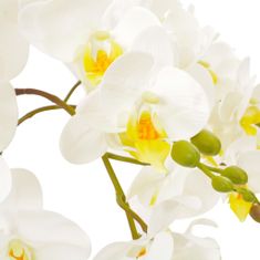 Vidaxl Umelá rastlina orchidea s kvetináčom 60 cm biela