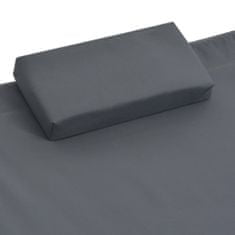 Vidaxl Záhradná posteľ antracitová 200x173 cm oceľová