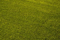 Chemex Koberec Shaggy Silný 50Mm Rôzne Farby 6365A Zelená 40x60 cm