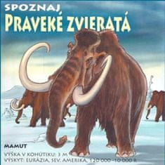 Ladislav Csurma: Praveké zvieratá