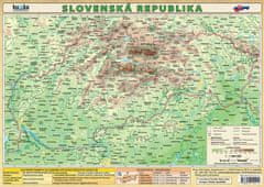 Petr Kupka: Slovenská republika