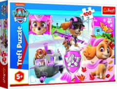 Puzzle Paw Patrol Skye v akcii - 100 dílků