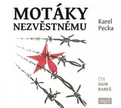 Karel Pecka: Motáky nezvěstnému - 3 CDmp3 (Čte Igor Bareš)