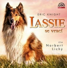 Norbert Lichý: Knight Lassie se vrací