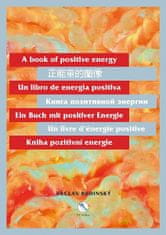 Václav Budinský: Kniha pozitivní energie (110 x 155 cm)
