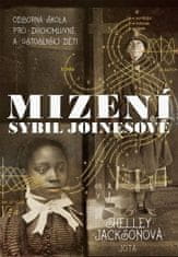 Shelley Jacksonová: Mizení Sybil Joinesové - Odborná škola pro duchomluvné a ústoslyšící děti