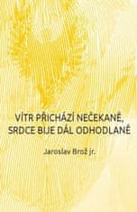 Jaroslav Brož: Vítr přichází nečekaně, srdce bije dál odhodlaně