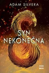 Adam Silvera: Syn nekonečna