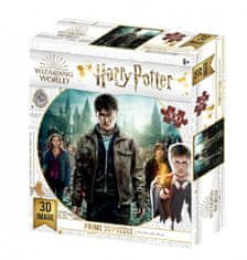 Harry Potter 3D puzzle - Harry, Hermiona a Ron 300 dílků