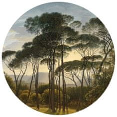Vidaxl WallArt Okrúhla fototapeta Dáždnik Pines v Taliansku, 142,5 cm