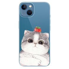 iSaprio Silikónové puzdro - Cat 03 pre Apple iPhone 13