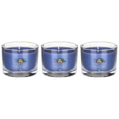 Yankee Candle Súprava votívnych sviečok v skle Black Tea & Lemon 3 x 37 g