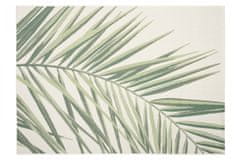 Chemex Koberec Terasa Jungle Moderní 19434/062 Biela/zelená 80x150 cm