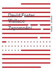 David Foster Wallace: Zapomnění