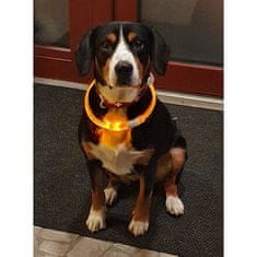 Shiny svietiaci obojok pre psov žltá dĺžka 35 cm