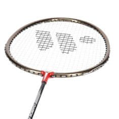 WISH Bedmintonový set Alumtec 316k