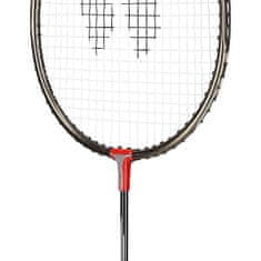 WISH Bedmintonový set Alumtec 316k