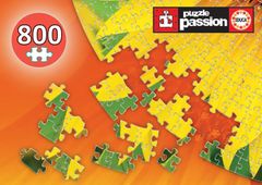 EDUCA Kruhové puzzle Slnečnice 800 dielikov