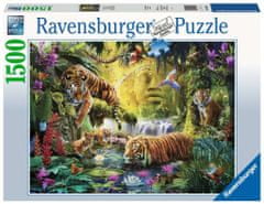 Ravensburger Puzzle Pokojné tigre 1500 dielikov