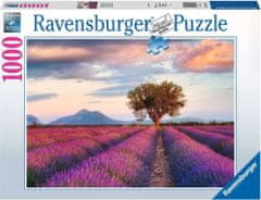 Ravensburger Puzzle Levanduľové pole 1000 dielikov