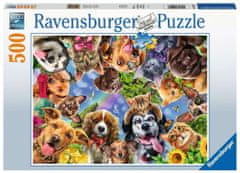 Ravensburger Puzzle Psia selfie 500 dielikov